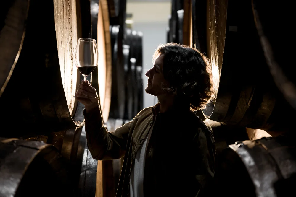 tourisme haut de gamme, découverte des vins et des vignobles en France